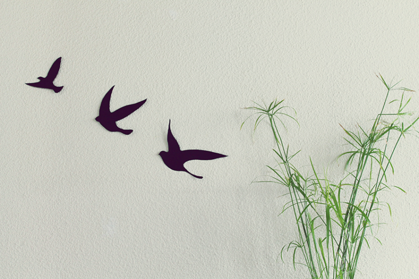 Libre comme un oiseau