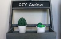 DIY cactus