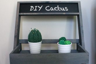 DIY cactus