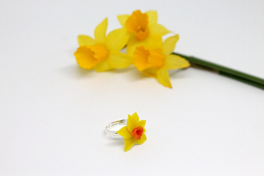 Une jonquille contre le cancer